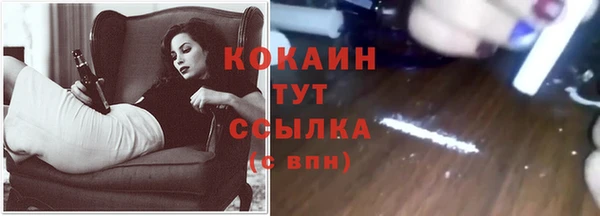 индика Белокуриха